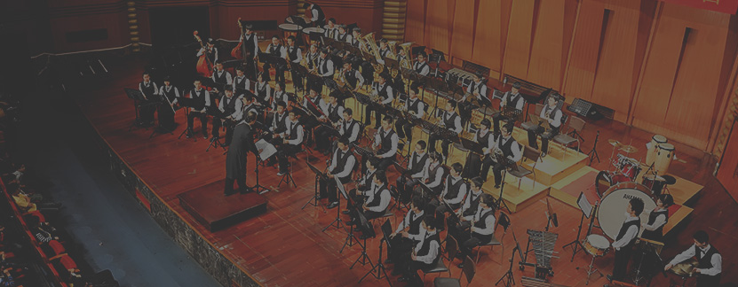 Irish button accordion